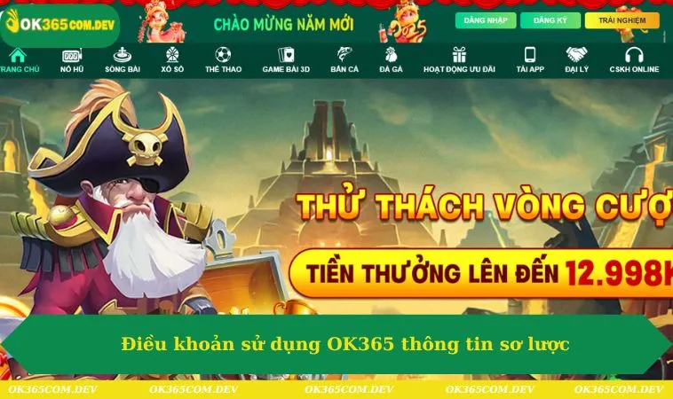 Điều khoản sử dụng OK365 thông tin sơ lược