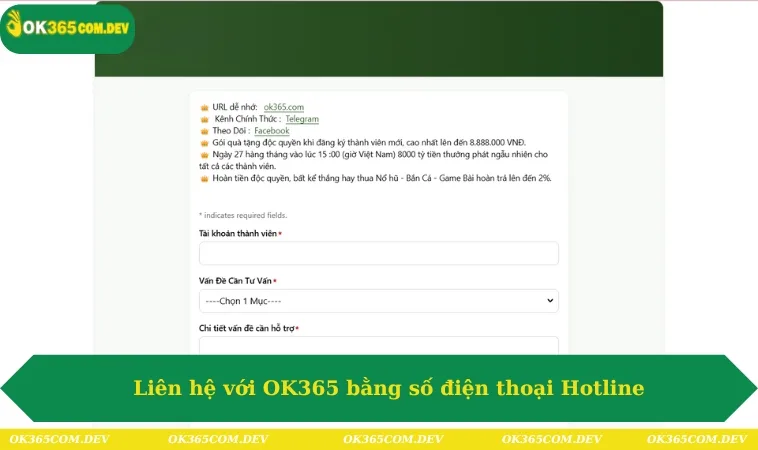 Liên hệ với OK365 bằng số điện thoại Hotline